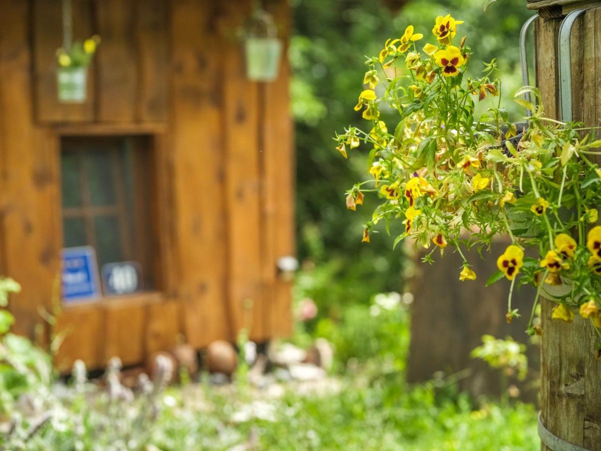 Yeti Cabin Plitvica selo Ngoại thất bức ảnh